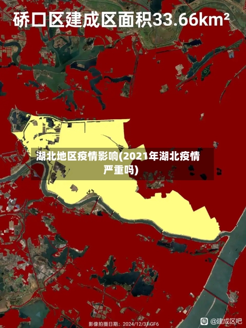 湖北地区疫情影响(2021年湖北疫情严重吗)-第3张图片