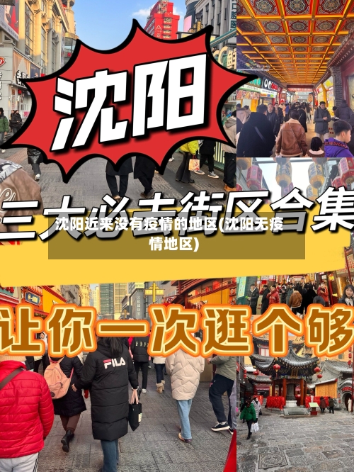 沈阳近来没有疫情的地区(沈阳无疫情地区)