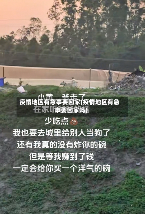 疫情地区有急事要回家(疫情地区有急事要回家吗)