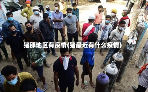 猪那地区有疫情(猪最近有什么疫情)