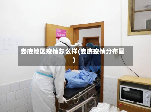 娄底地区疫情怎么样(娄底疫情分布图)-第2张图片