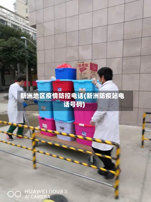 新洲地区疫情防控电话(新洲防疫站电话号码)