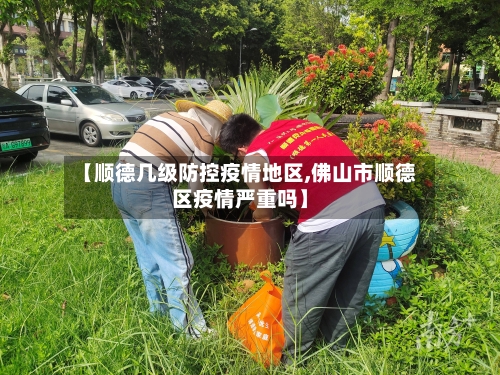 【顺德几级防控疫情地区,佛山市顺德区疫情严重吗】