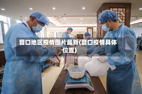 营口地区疫情图片最新(营口疫情具体位置)