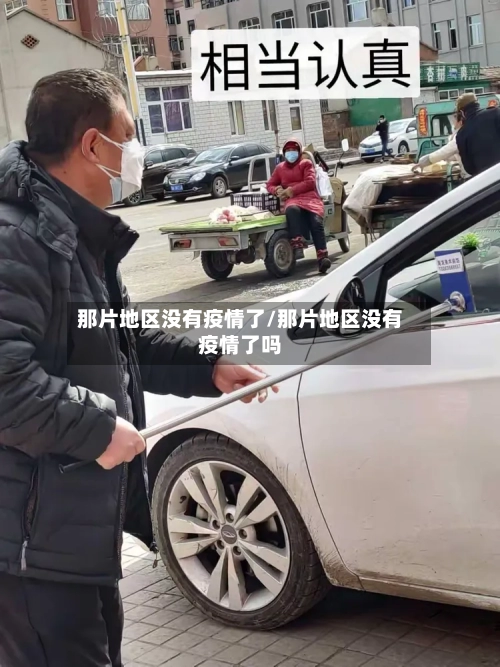 那片地区没有疫情了/那片地区没有疫情了吗