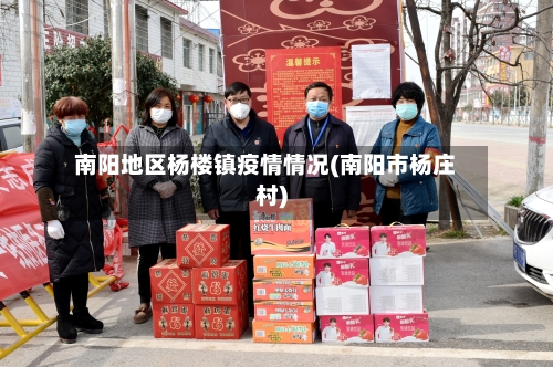 南阳地区杨楼镇疫情情况(南阳市杨庄村)-第2张图片