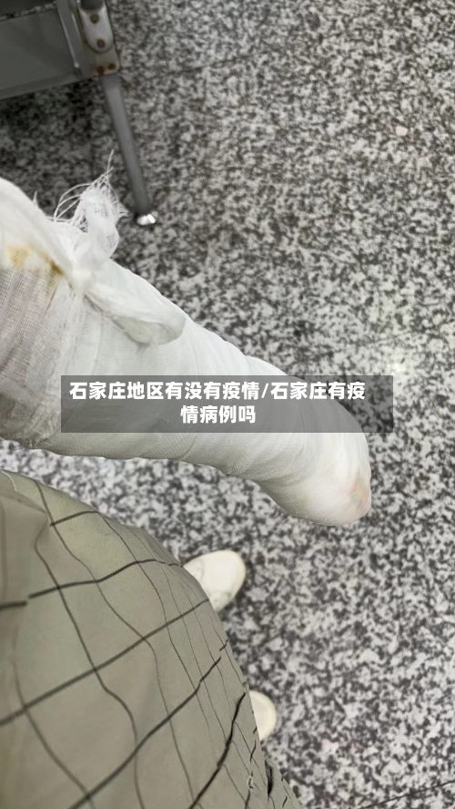 石家庄地区有没有疫情/石家庄有疫情病例吗-第2张图片