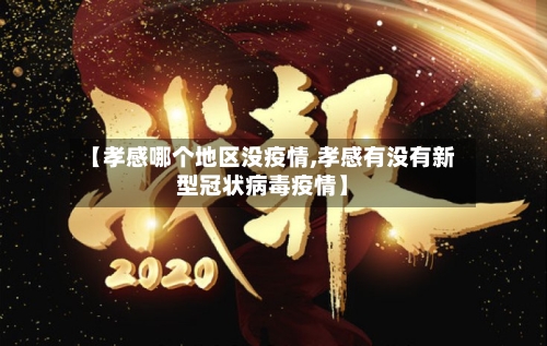 【孝感哪个地区没疫情,孝感有没有新型冠状病毒疫情】