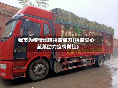 我市为疫情地区捐赠菜刀(捐赠爱心蔬菜助力疫情防控)-第3张图片