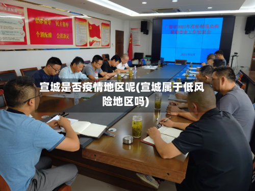 宣城是否疫情地区呢(宣城属于低风险地区吗)-第2张图片