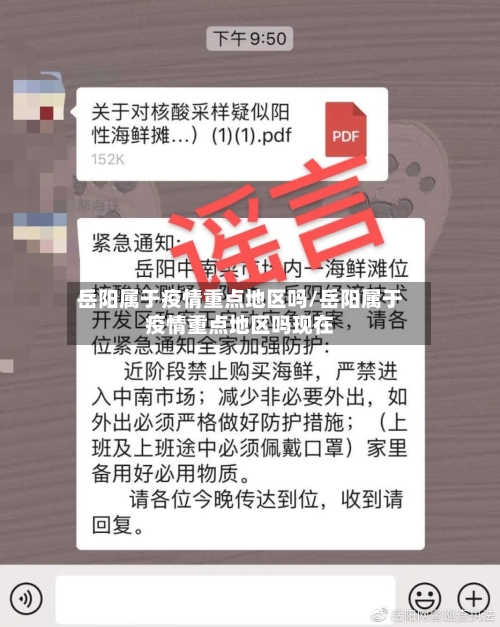 岳阳属于疫情重点地区吗/岳阳属于疫情重点地区吗现在-第3张图片