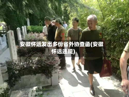 安徽怀远发出多份省外协查函(安徽怀远违规)