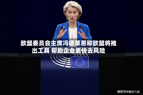 欧盟委员会主席冯德莱恩称欧盟将推出工具 帮助企业更快去风险-第2张图片