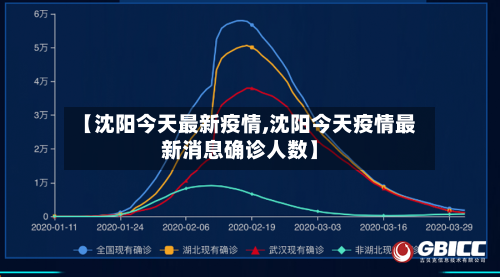 【沈阳今天最新疫情,沈阳今天疫情最新消息确诊人数】-第2张图片