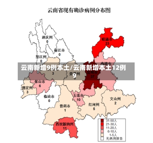 云南新增9例本土/云南新增本土12例9