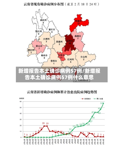 新增报告本土确诊病例57例/新增报告本土确诊病例57例什么意思-第2张图片