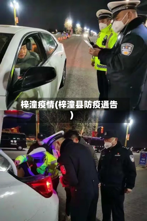 梓潼疫情(梓潼县防疫通告)