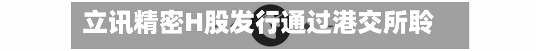立讯精密H股发行通过港交所聆讯-第2张图片