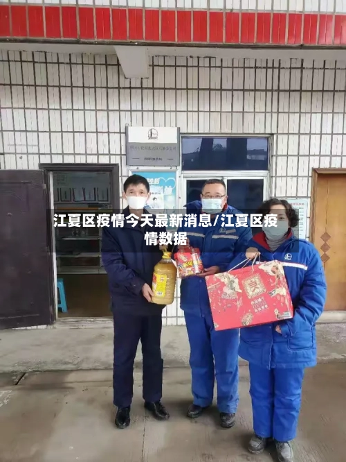 江夏区疫情今天最新消息/江夏区疫情数据