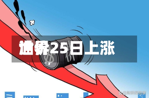 世界油价25日上涨