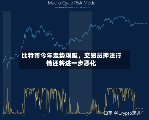 比特币今年走势艰难	，交易员押注行情还将进一步恶化-第1张图片