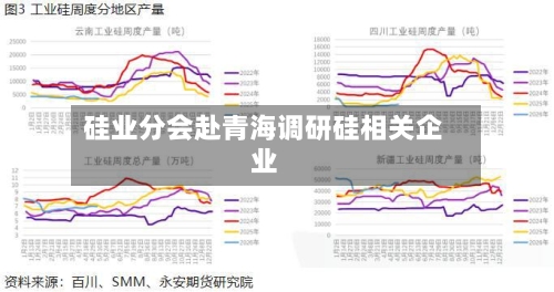 硅业分会赴青海调研硅相关企业-第2张图片