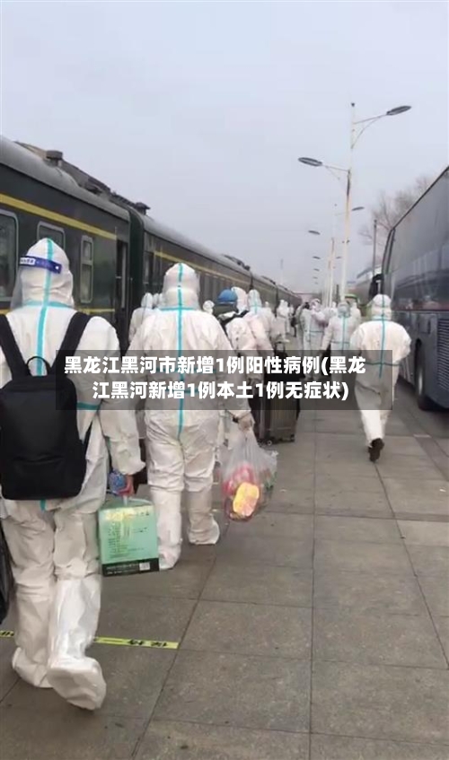 黑龙江黑河市新增1例阳性病例(黑龙江黑河新增1例本土1例无症状)-第2张图片