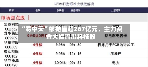 “易中天”被抛售超267亿元	，主力资金大幅流出科技股-第2张图片