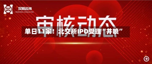 单日11家！北交所IPO受理“井喷”-第2张图片