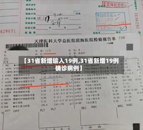【31省新增输入19例,31省新增19例确诊病例】-第3张图片
