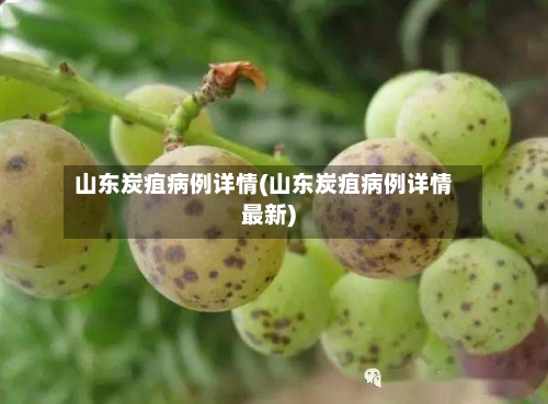 山东炭疽病例详情(山东炭疽病例详情最新)-第2张图片