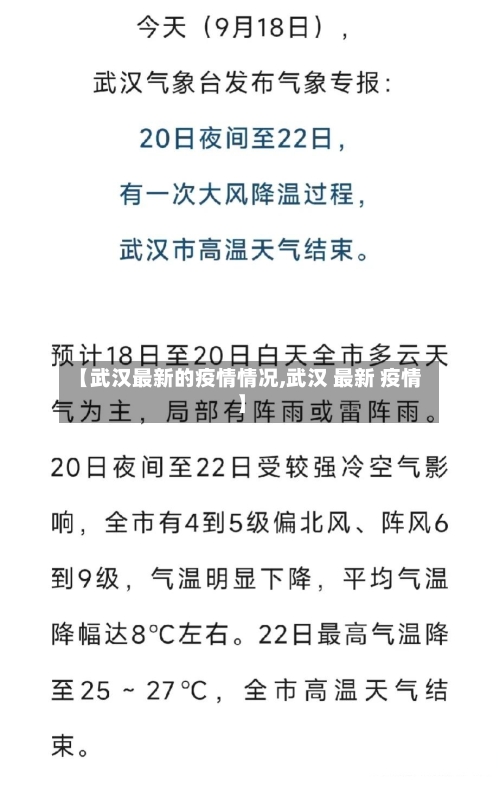 【武汉最新的疫情情况,武汉 最新 疫情】-第3张图片
