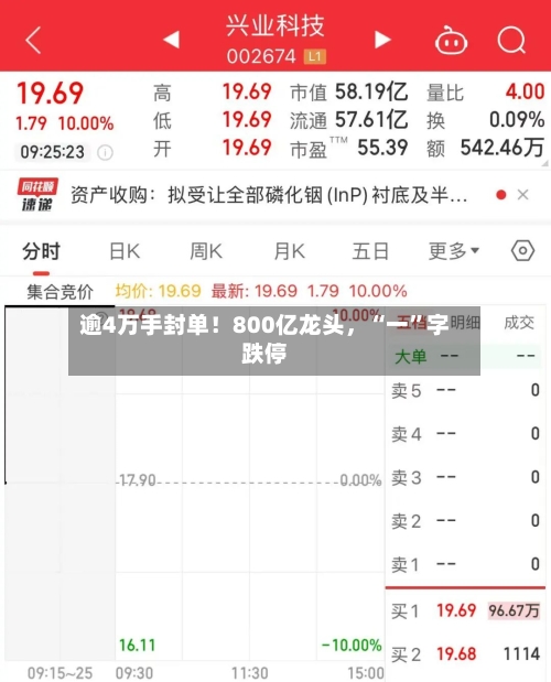 逾4万手封单！800亿龙头	，“一”字跌停-第2张图片