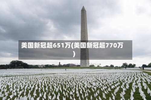 美国新冠超651万(美国新冠超770万)