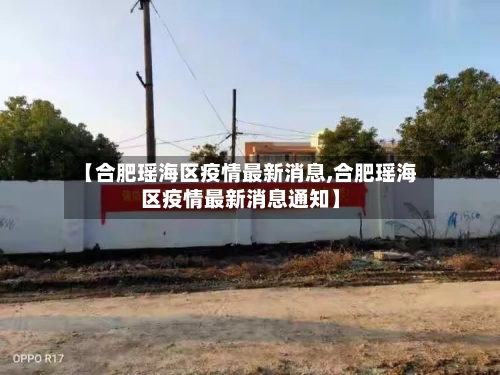 【合肥瑶海区疫情最新消息,合肥瑶海区疫情最新消息通知】