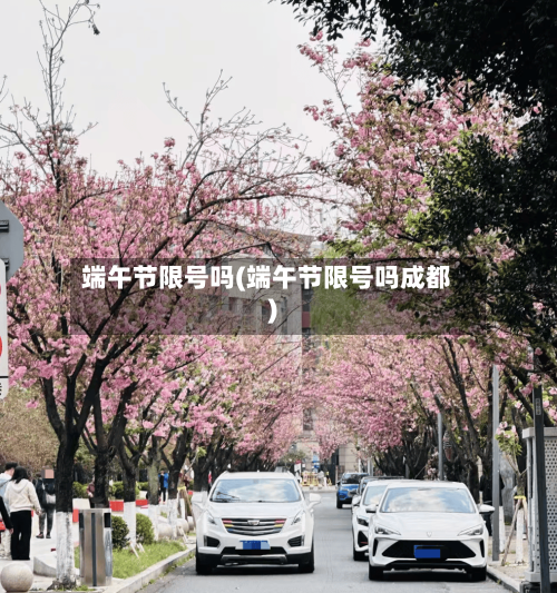 端午节限号吗(端午节限号吗成都)-第3张图片