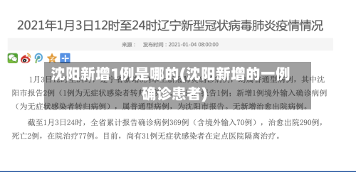 沈阳新增1例是哪的(沈阳新增的一例确诊患者)-第2张图片