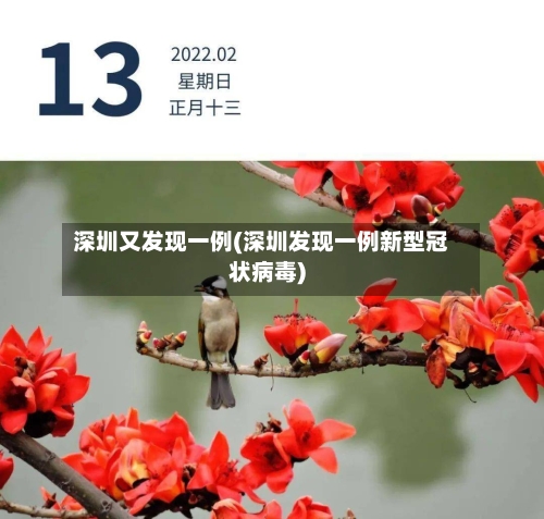 深圳又发现一例(深圳发现一例新型冠状病毒)-第2张图片