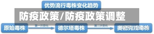 防疫政策/防疫政策调整
