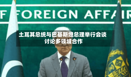 土耳其总统与巴基斯坦总理举行会谈 讨论多领域合作