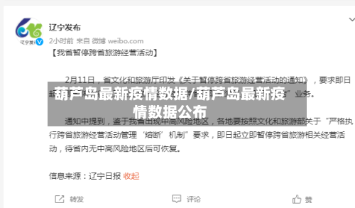 葫芦岛最新疫情数据/葫芦岛最新疫情数据公布-第2张图片