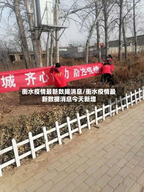 衡水疫情最新数据消息/衡水疫情最新数据消息今天新增-第3张图片