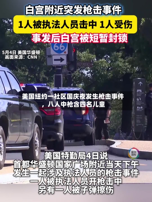 美国纽约一社区国庆夜发生枪击事件，八人中枪含四名儿童-第3张图片