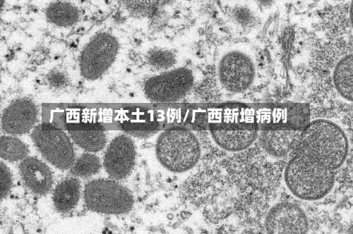 广西新增本土13例/广西新增病例