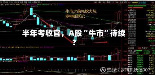 半年考收官	，A股“牛市”待续？-第1张图片