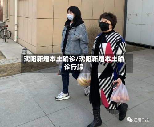 沈阳新增本土确诊/沈阳新增本土确诊行踪-第2张图片