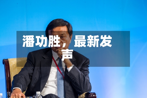潘功胜，最新发声-第2张图片