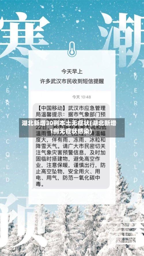 湖北新增30例本土无症状(湖北新增1例无症状感染)