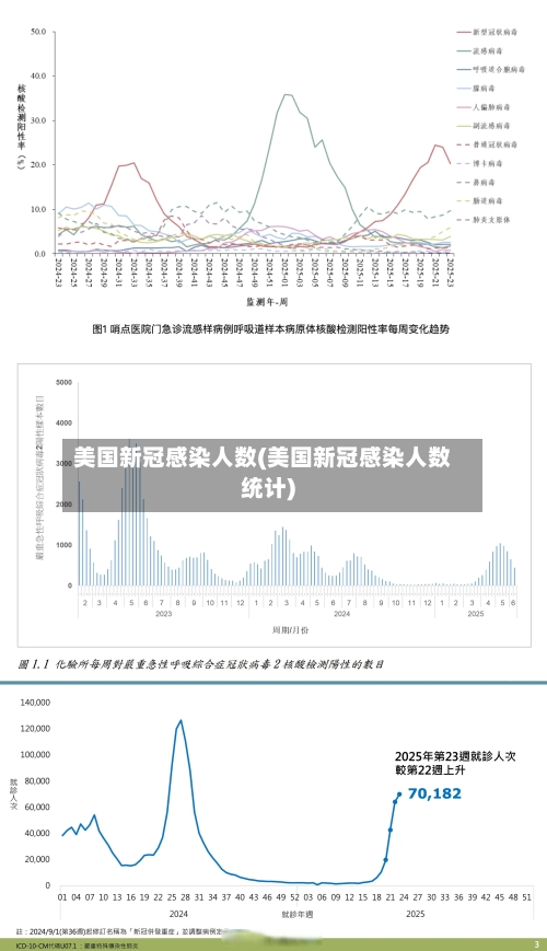 美国新冠感染人数(美国新冠感染人数统计)-第2张图片