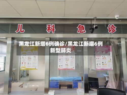 黑龙江新增6例确诊/黑龙江新增6例新型肺炎